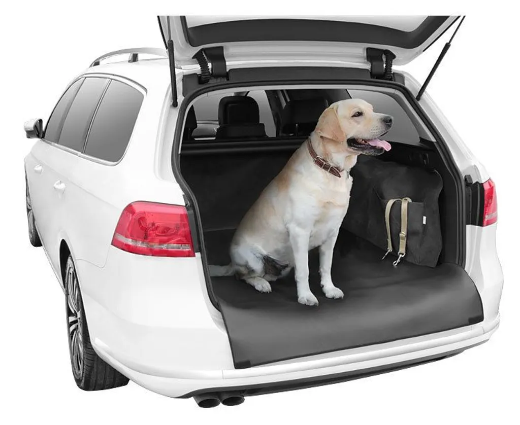 Dexter XL Kegel: Telo Protettivo Baule Cani Taglia Grande | Offerta
