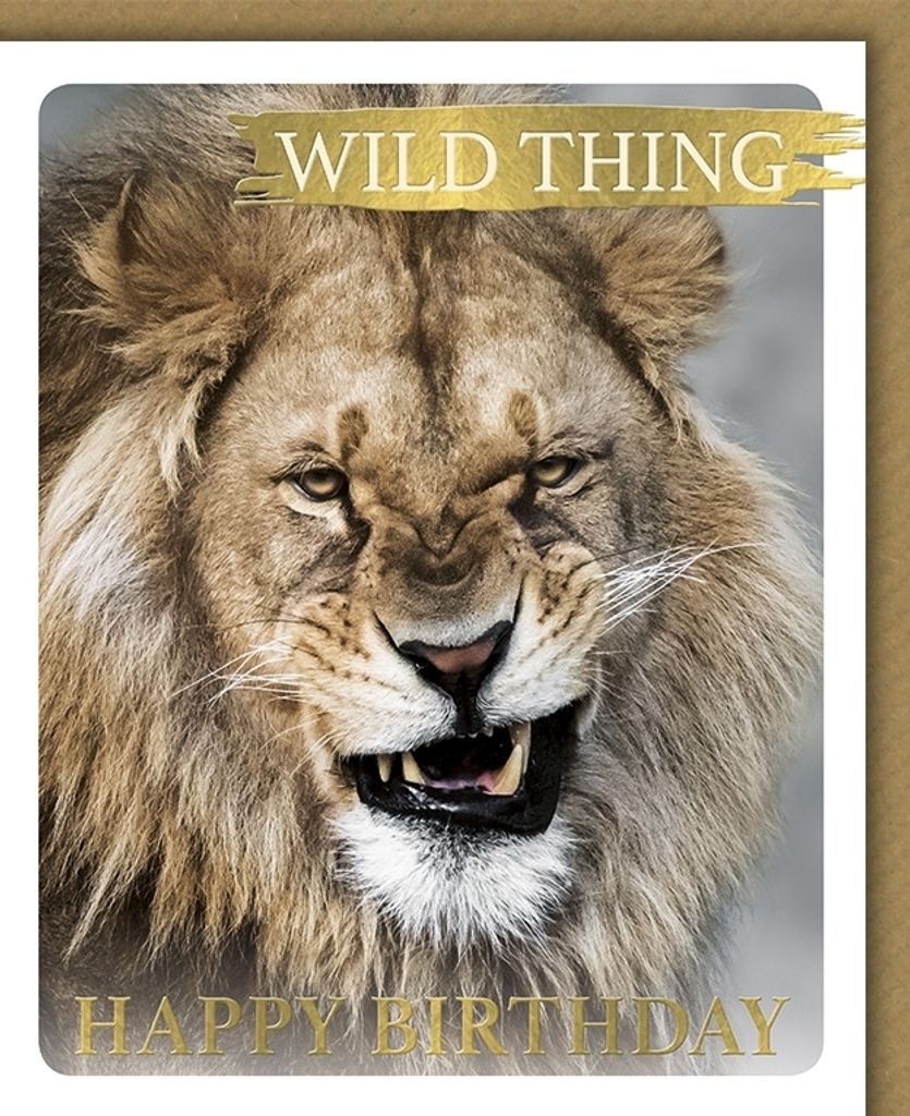 Geburtstag - Glückwunschkarte im Format 11,5 x 13,5 cm mit Umschlag 2