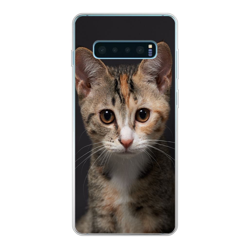 MuchoWow Handyhülle Schutzhülle Hülle für Samsung Galaxy S10 Plus Katze - Schwarz - Porträt Silikon Softcase Handy Hülle - Schutzhülle