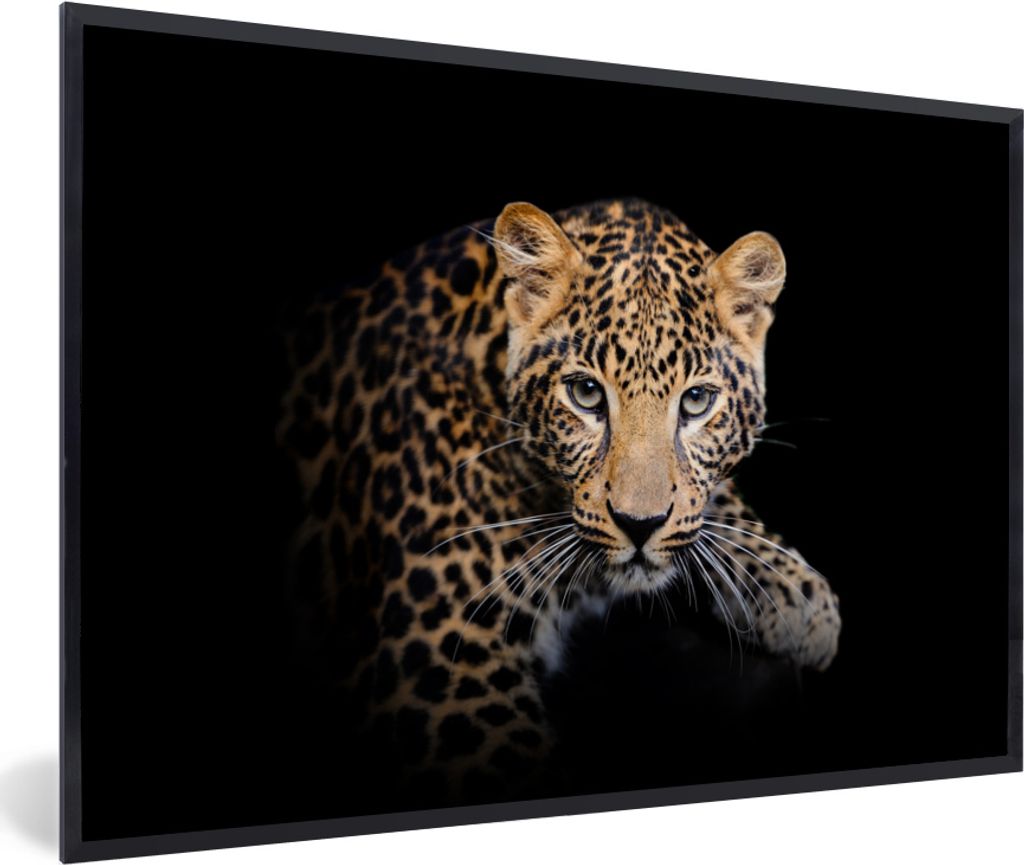MuchoWow MuchoWow Gerahmtes Poster Panther - Schwarz - Tiere 90x60 cm - Poster mit zchwarzem Bilderrahmen - Fotorahmen - Foto-Plakat