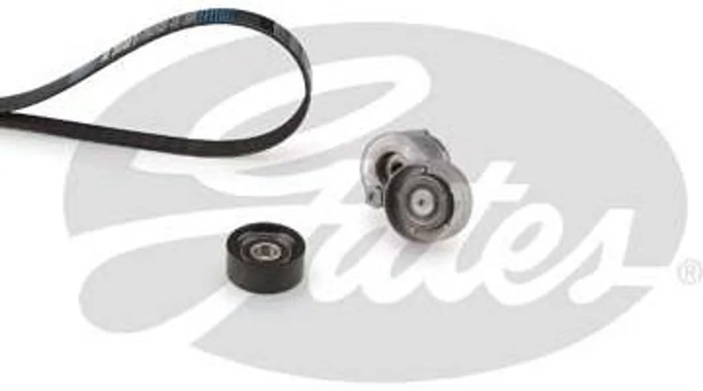 Gates K026PK1795 Kit de courroies trapézoïdales pour Laguna et Trafic
