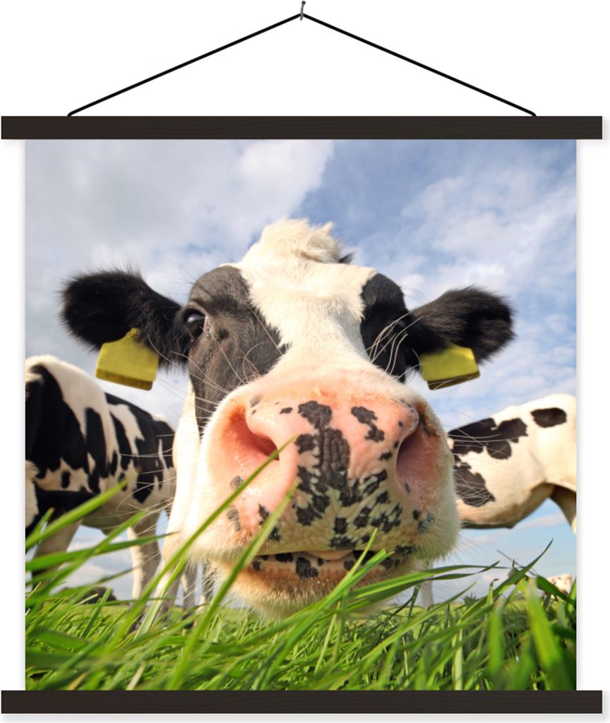 MuchoWow Textilposter Kuh - Bauernhof - Gras - Tiere 90x90 cm mit schwarzem Rahmen - Magnetisches