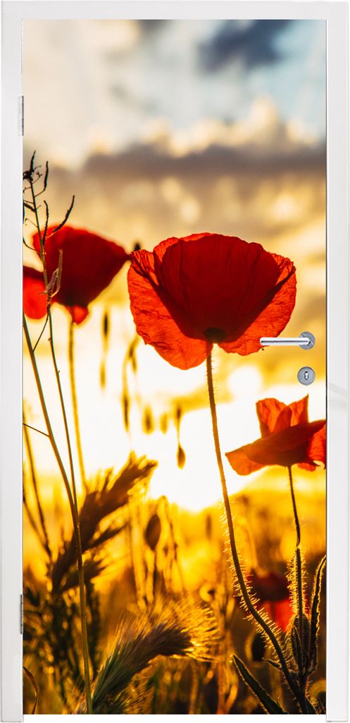 MuchoWow Türtapete Selbstklebende Türfolie Rote Mohnblumen bei Sonnenaufgang 95x235 cm Türposter Türaufkleber Klebefolie Türklebefolie - XXL...