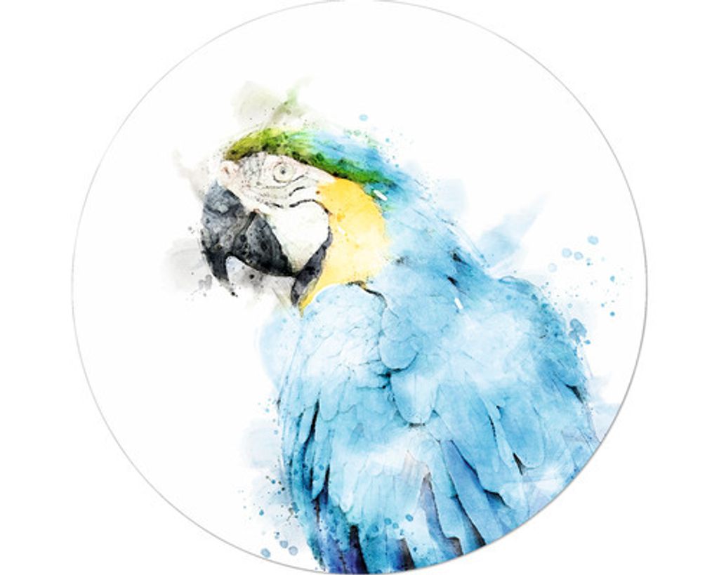 Glasbild Papagei aquarell Ø 20 cm