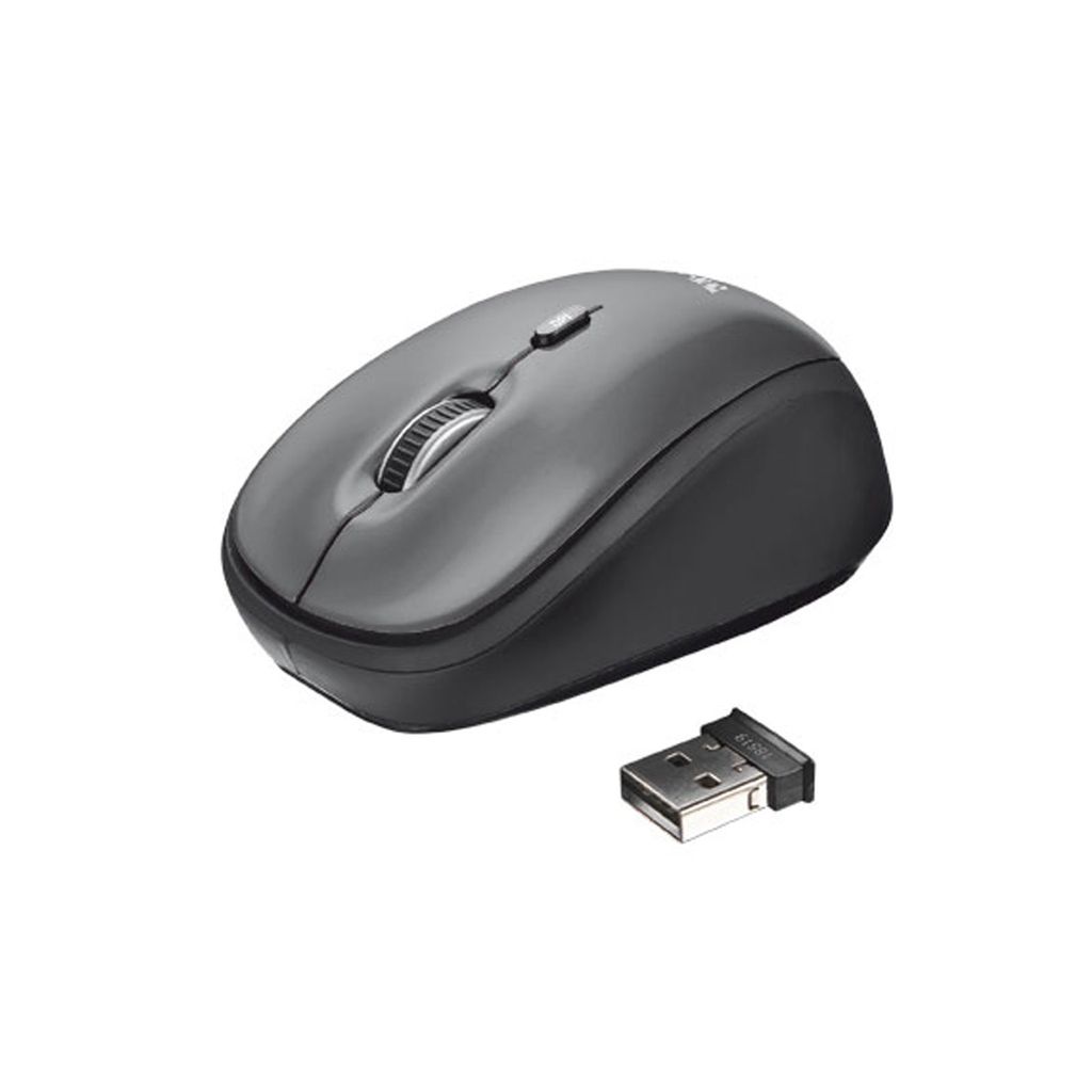 A wireless computer mouse and its USB receiver are shown against a white background.