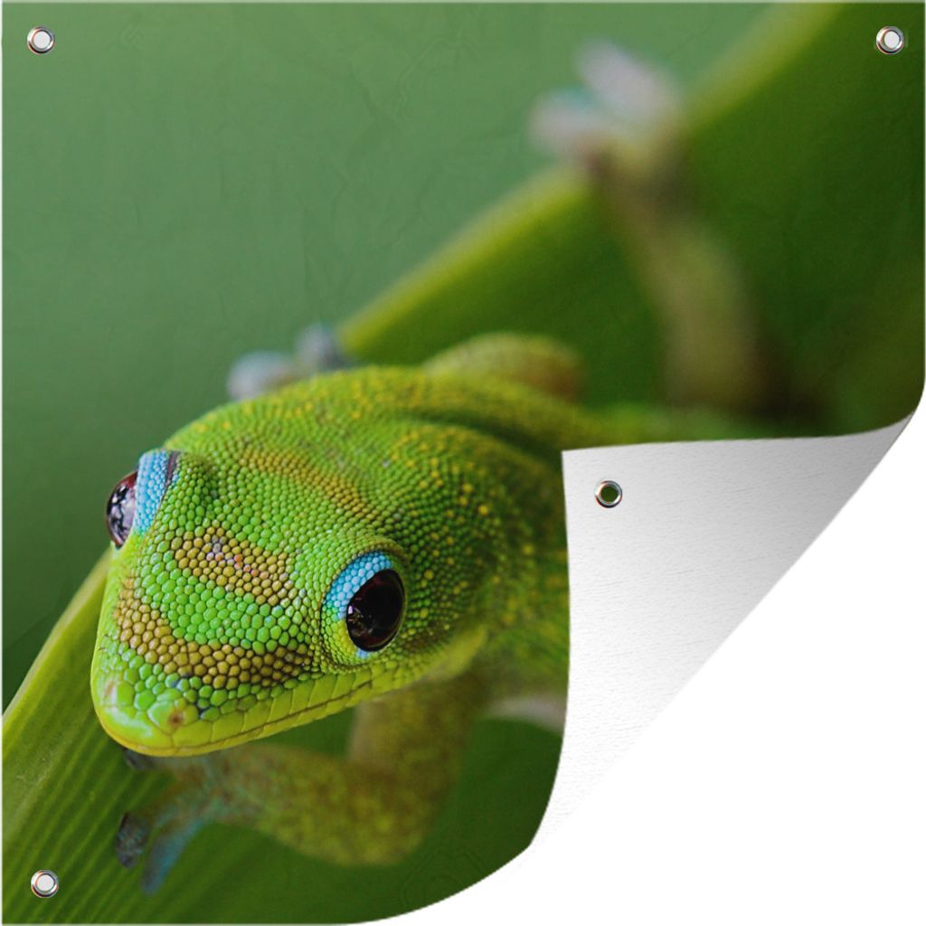 MuchoWow 50x50 cm Outdoor-Poster Gartendeko Sichtschutz Garten Poster für den Garten Lachender grüner Gecko
