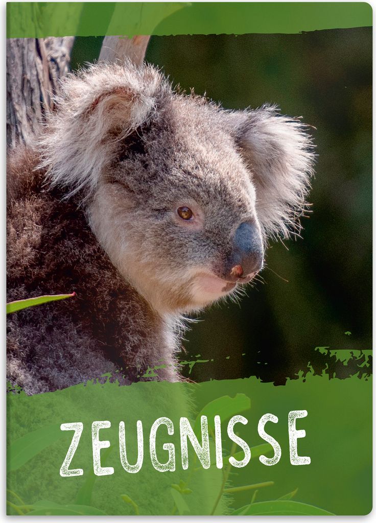 itenga Zeugnismappe A4 Kunststoff Sichtbuch Motiv Koala