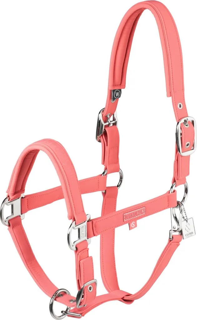 Eskadron Classic Sports 25 Softshell Cavezza Doppio Ardiglione - Shop