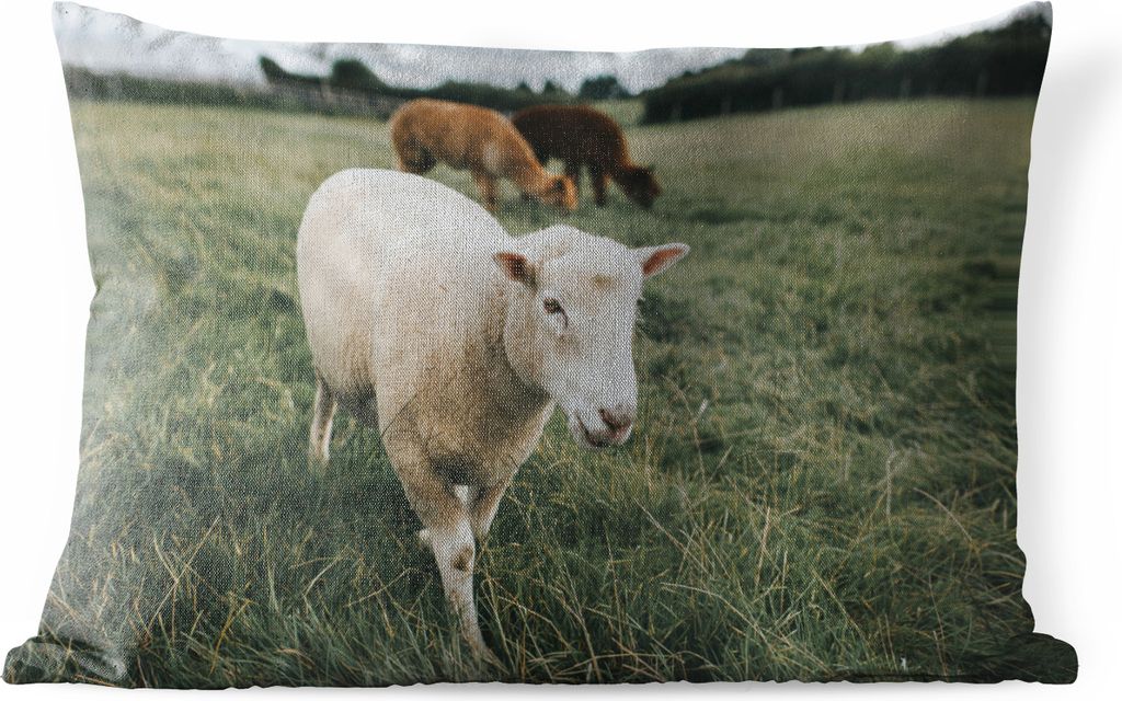 MuchoWow Outdoor Kissen - Schafe - Tiere - Gras - 60x40 cm - Wetterfest - Lounge Kissen - Zierkissen - Kissen für Innenräume