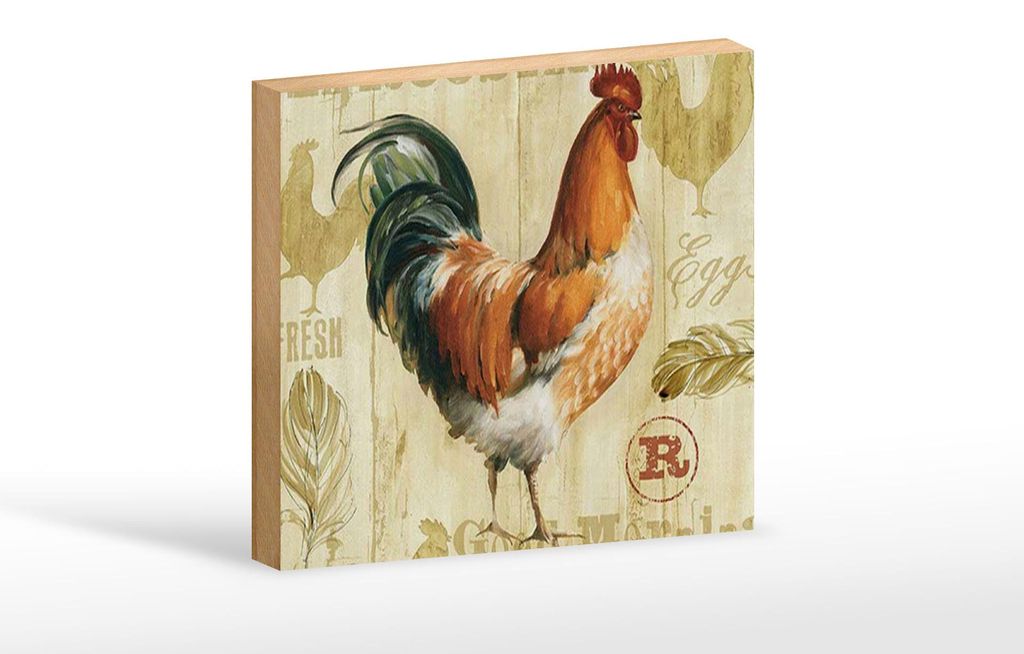 Holzschild Spruch 18x12cm Huhn Hühner Eggs frische Eier