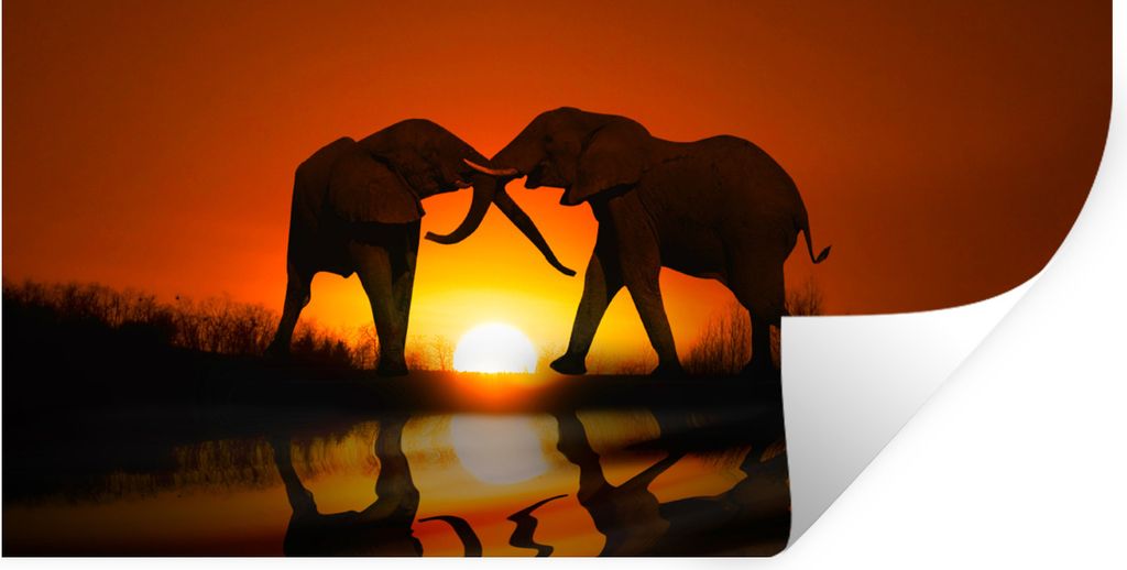 MuchoWow Wandtattoo Wandsticker Wandaufkleber Elefantenpaar bei Sonnenuntergang 40x20 cm Selbstklebend und Repositionierbar - Aufkleber