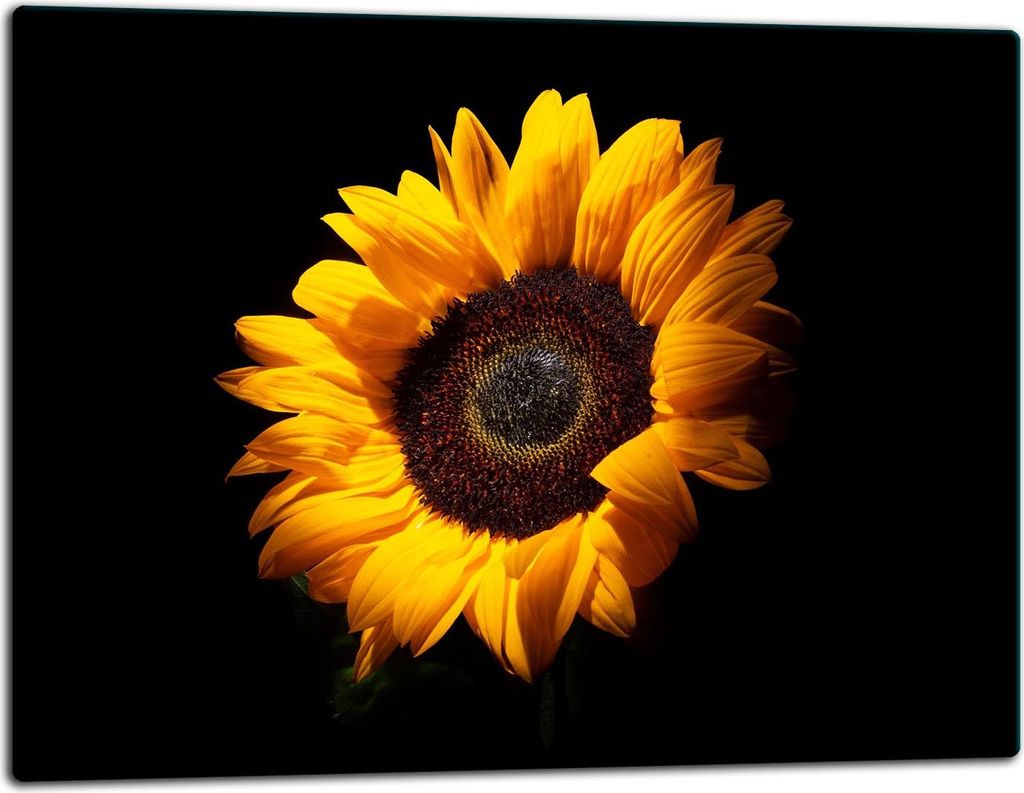 Glasschneidebrett Herdabdeckplatte Glaskeramikkochfeld Universal 52x40 cm Schwarz Blume