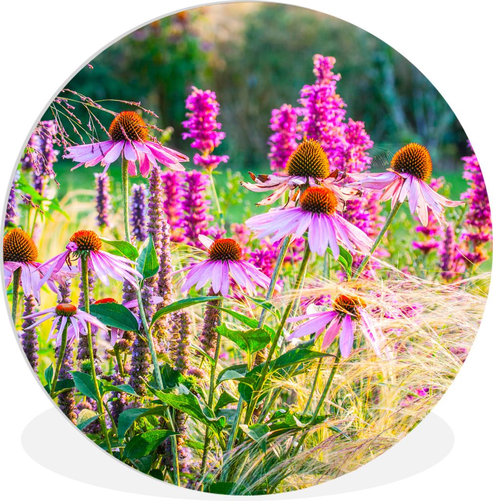 MuchoWow Rundes Wandbild - Runde Bilder Ziergras mit rosa Blüten Ø 90 cm Kreis Wanddekoration Kunststoff - Wandkreis - Wandschmuck - Wand-Kreis...