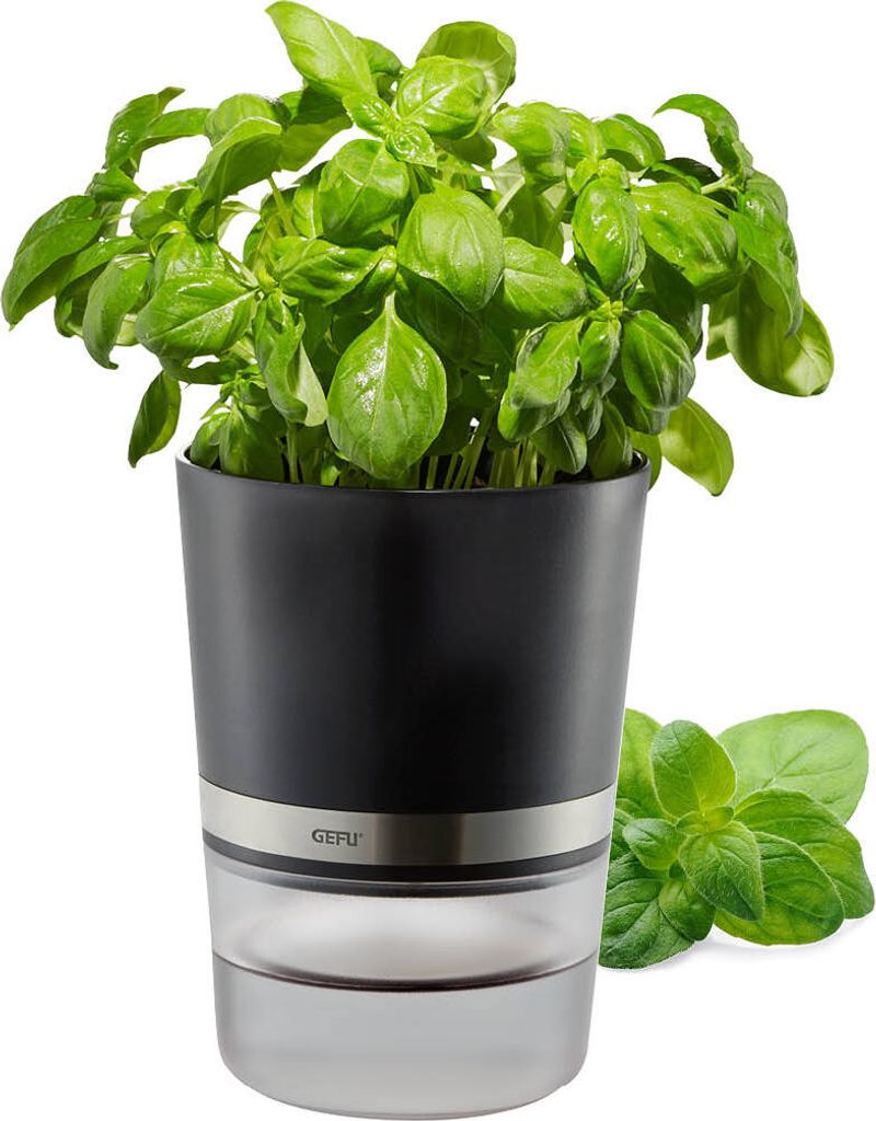 Kräutertopf BOTANICO Produktbild 