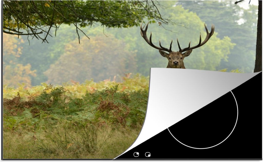 KitchenYeah Herdabdeckplatte Rothirsch - Natur - Grün , 81x52cm, Küche Deko, Glaskeramikkochfeld Herdabdeckung, Abdeckplatte fùr Kochfeld