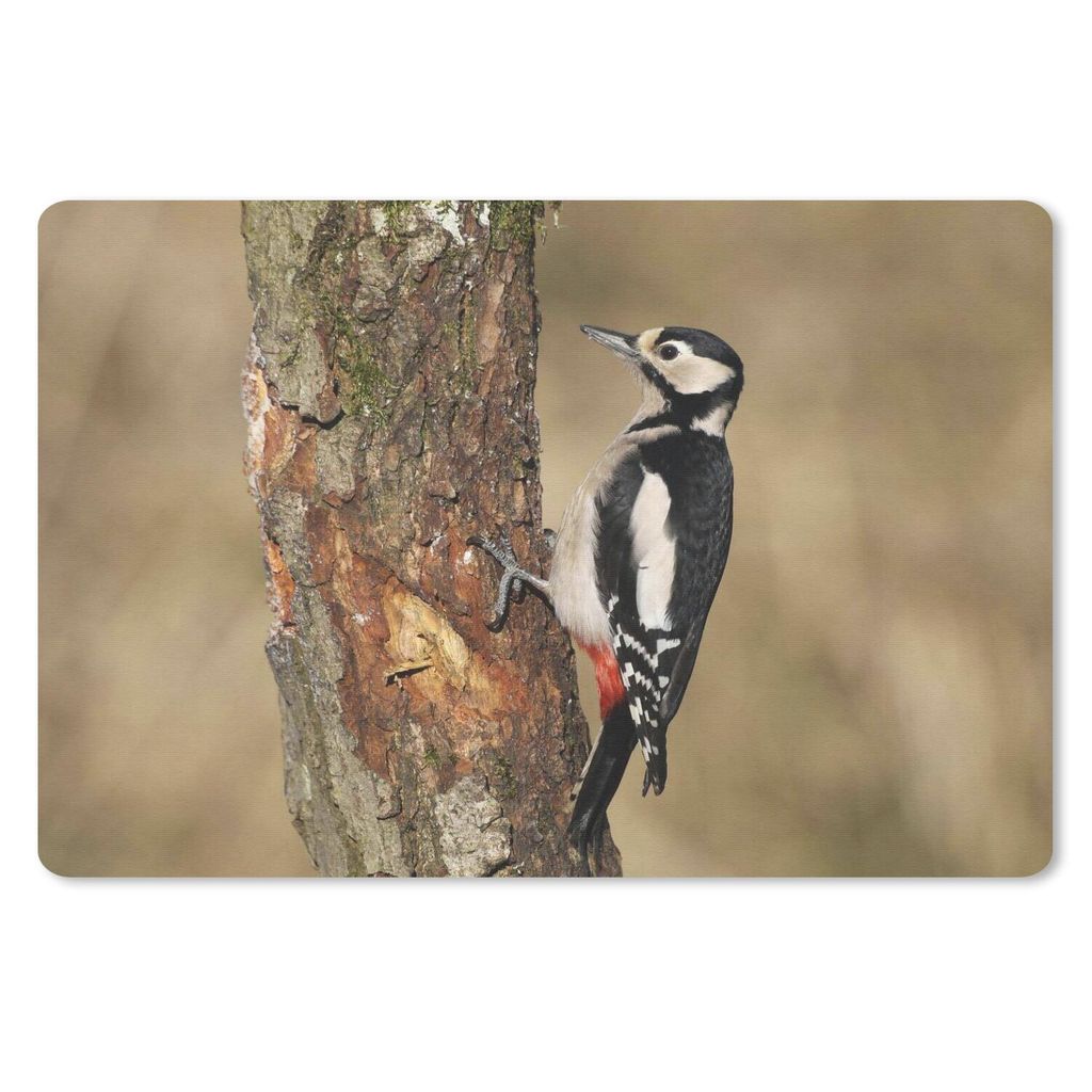 MuchoWow Schreibtischunterlage Ein Buntspecht im Herbst 60x40 cm - XXL Mauspad - Großes Mauspad