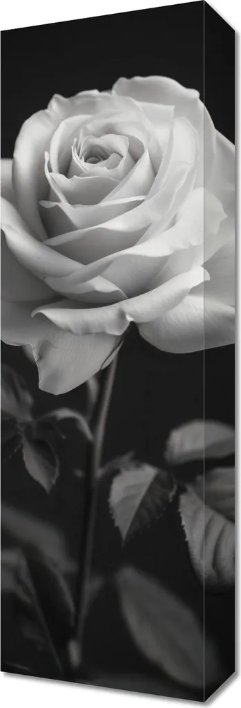 Décoration Murale Feuilles de Rose 20x60 cm - Impression d'Art Nature