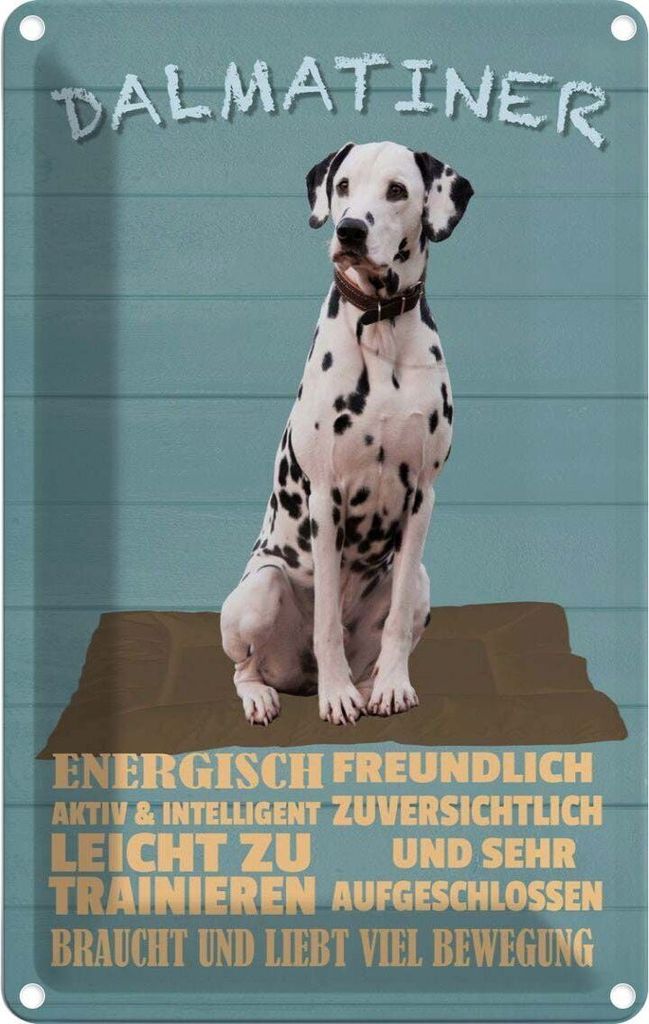 vianmo Blechschild 30x20 cm Dalmatiner Hund energisch aktiv Tier Haustier