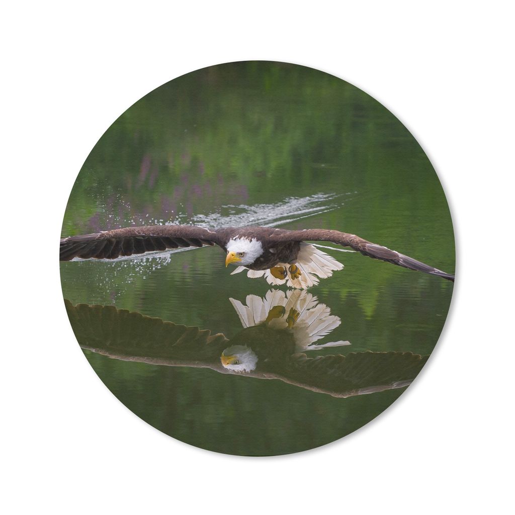 MuchoWow Mauspad Mousepad Ein Weißkopfseeadler fliegt sehr niedrig über dem Wasser 30x30 cm - Mousepads - Maus Mat - Pad - Mausunterlage - Tisc...