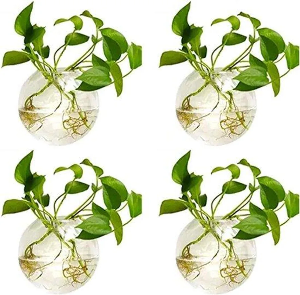 Pots de fleurs ronds en verre transparent 10 cm - Vase suspendu robuste