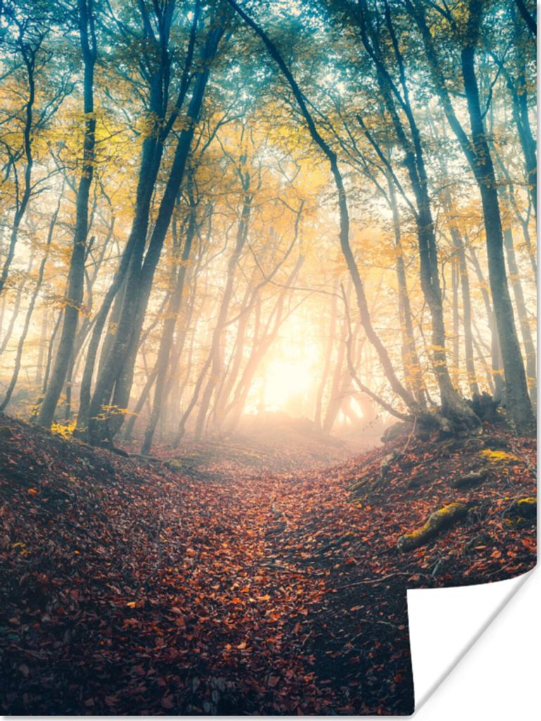 MuchoWow Poster Wald - Nebel - Sonne - Herbst 30x40 cm - Wandplakat - Poster Kinderzimmer