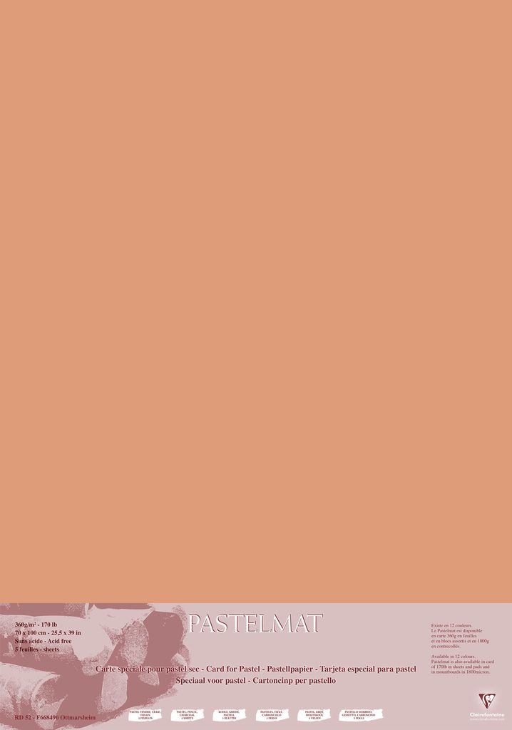 Clairefontaine Pastelmat Pastellmalerei, 5 Bogen 70x100 cm, 360g Siena 296012C