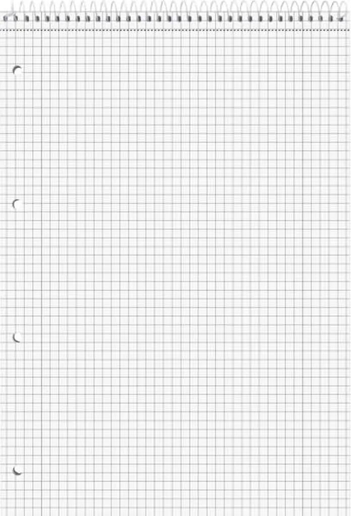 Cahier A4 Brunnen 106781201 : ne perdez plus vos notes grâce aux 4 trous - 2