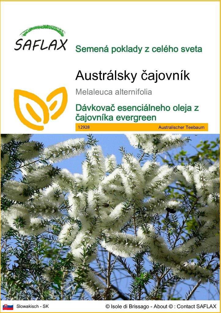 SAFLAX - Austrálsky čajovník - Melaleuca alternifolia - 400 Obrázok produktu 