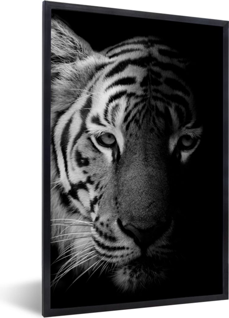 MuchoWow Gerahmtes Poster Tiger - Tiere - Wild - Schwarz - Weiß 20x30 cm - Poster mit Schwarzem Bilderrahmen Wandposter Rahmen Foto Bilder - Dru...