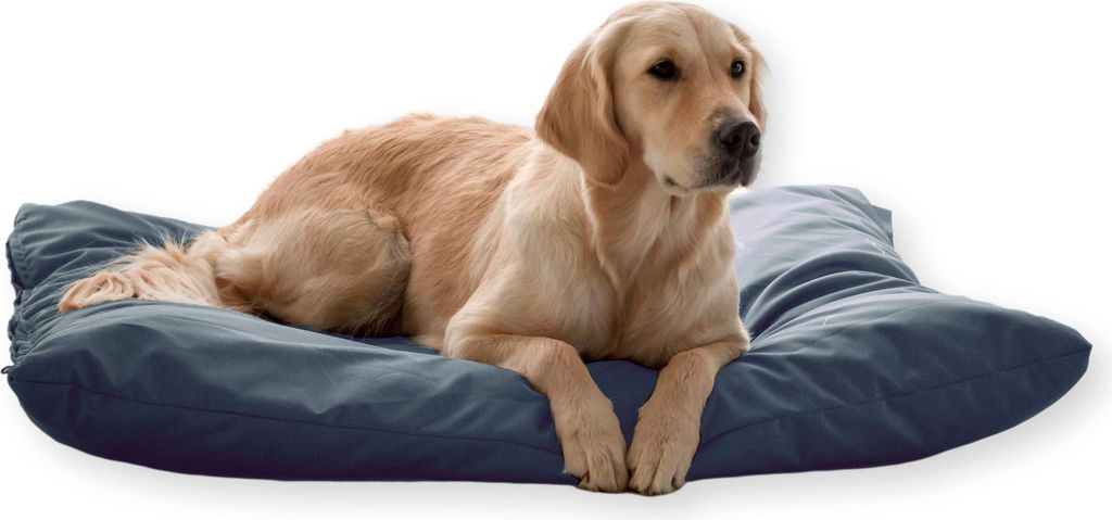 4L Textil ZOE Hundekissen waschbar mit Bezug und Reißverschluss Hundekissen Grosse Hunde Hundematte Liegekissen waschbares (60x50 cm, Dunkelgrau)