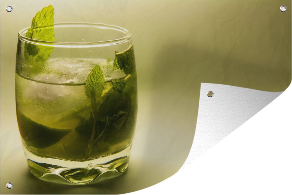 MuchoWow 120x80 cm Outdoor-Poster Gartendeko Sichtschutz Garten Poster für den Garten Mojito-Cocktail auf grünem Hintergrund