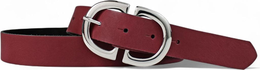 FRONHOFER Damengürtel 3 cm mit trendiger, ovaler Schnalle in glänzend silbern