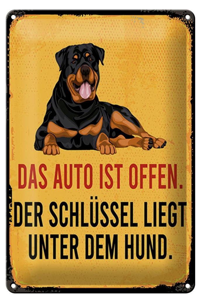 Blechschild Spruch 12x18 cm Auto offen Schlüssel Hund Schild