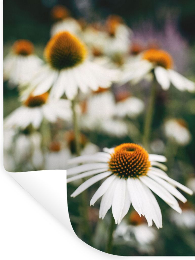 MuchoWow Wandtattoo Wandsticker Wandaufkleber Blumen - Herbst - Botanisch 30x40 cm Selbstklebend und Repositionierbar - Sticker - Dekorfolie