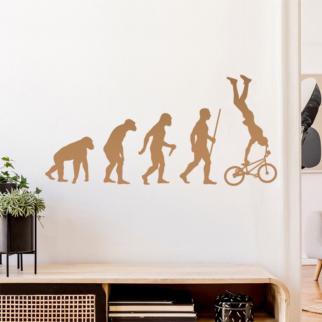 BMX Freestyle Evolution Wandtattoo Wandaufkleber Wall Sticker - Dekoration, Küche, Wohnzimmer, Schlafzimmer, Badezimmer