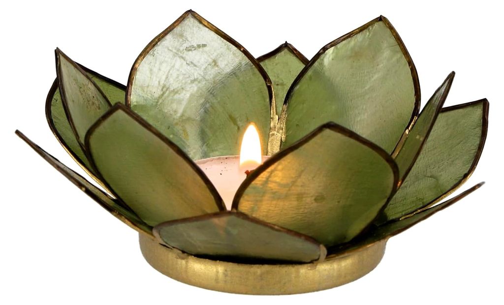 Lotus Teelicht Muschel 11x4 cm - Olivgrün