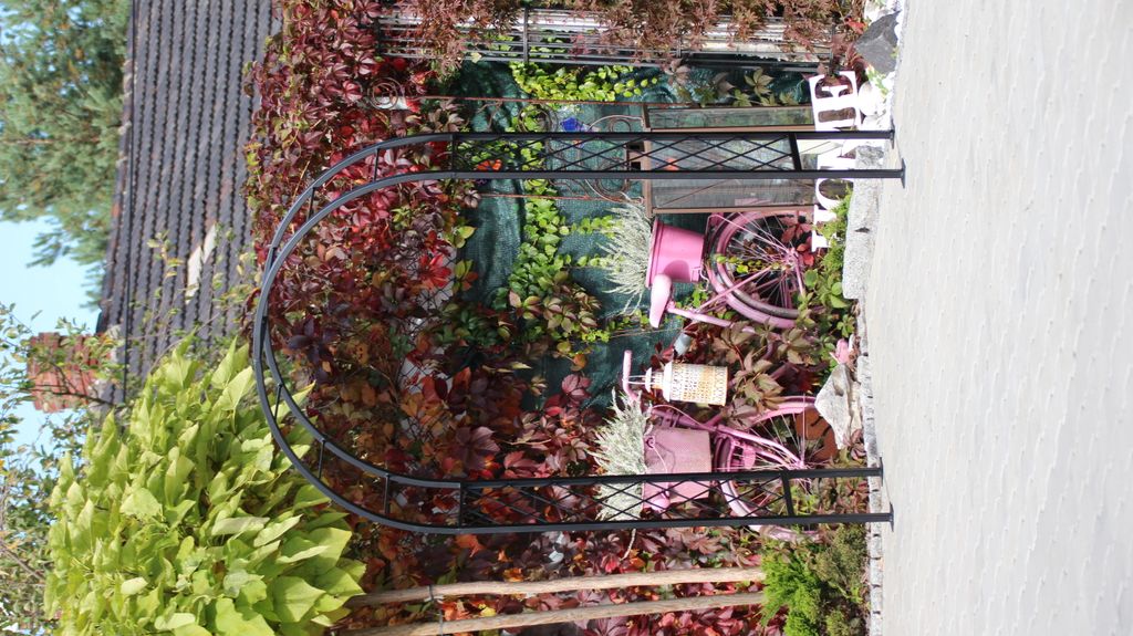Rosenbogen LUXEMBURG Gesamtbreite 1,4 m Schwarz Pergola Rozenboog Rose Arch