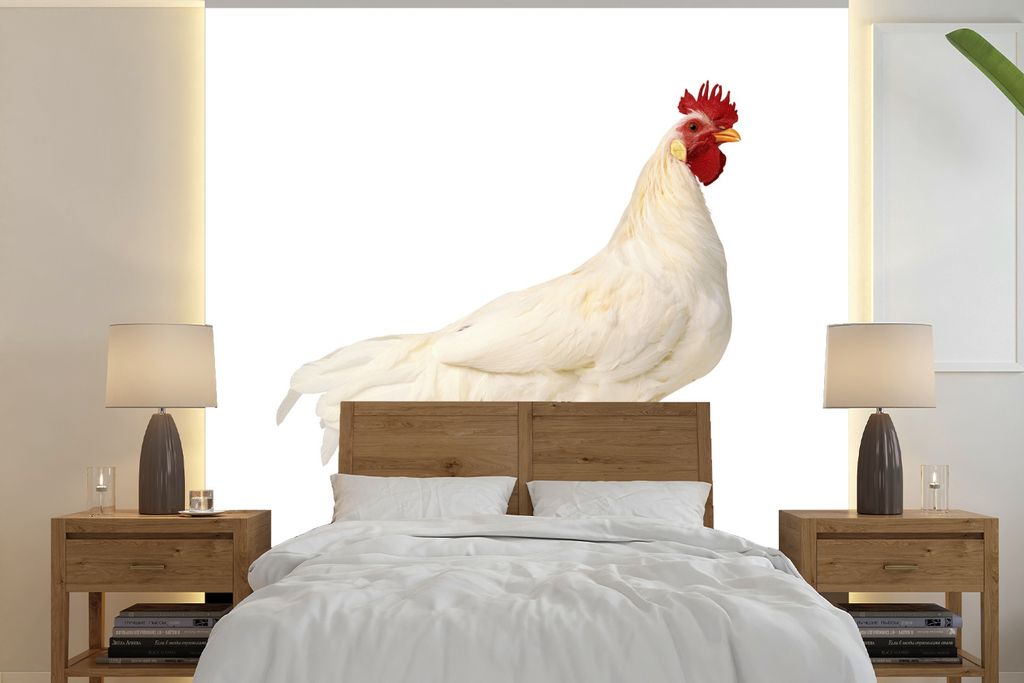 MuchoWow Fototapete für Wohnzimmer oder Schlafzimmer Wandtapete Vinyl Motivtapete Hahn auf weißem Hintergrund - 220x220 cm - Tapeten