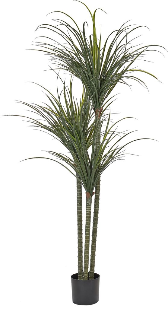 BELIANI Kunstpflanze Grün und Schwarz Kunststoff 198 cm Drachenbaum Bad Wohnzimmer Schlafzimmer Indoor Deko Künstliche Pflanze Zmmerpflanze im Topf