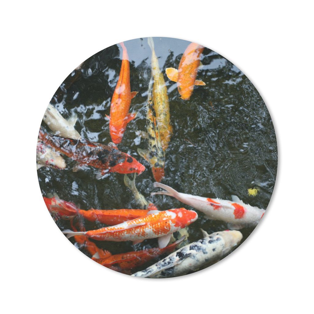 MuchoWow Mauspad Mousepad Eine große Gruppe von Koi Karpfen 40x40 cm - Mousepads - Maus Mat - Pad - Mausunterlage - Schreibtisch Accessoires