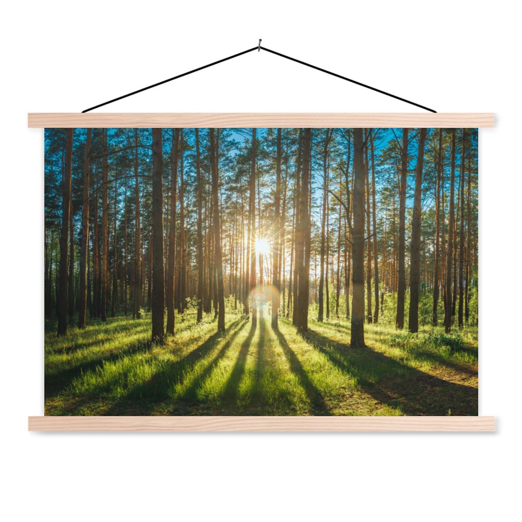 MuchoWow Textilposter Sonne - Bäume - Landschaft - Gras 60x40 cm mit holzfarbenen Rahmen - Bilder