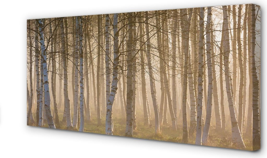 Leinwandbild 100x50 Wandkunst Sonnenaufgang Wald