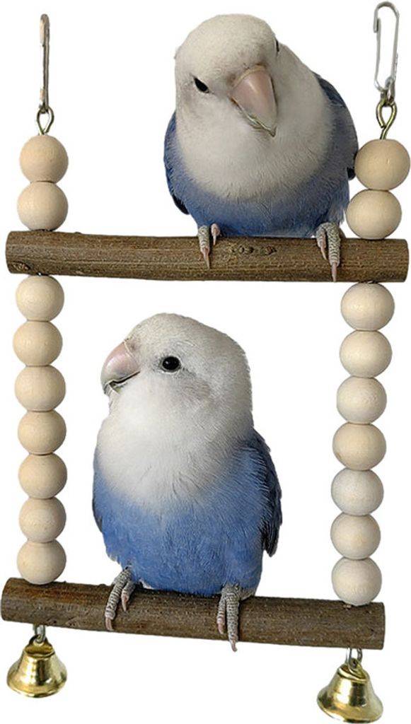 15cm Hölzerne Vogelsitzstangen, Papageien-Holzplattform, Vogel-Stehspielzeug, Vogelkäfig-Hängeschaukel-Sitzstangenplattform, Bequeme Ständer