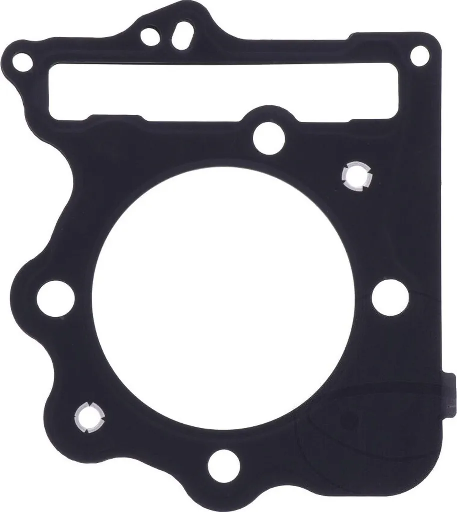Stop aux fuites : Joint de culasse pour Honda TRX 400 EX 2002-2008 Neuf