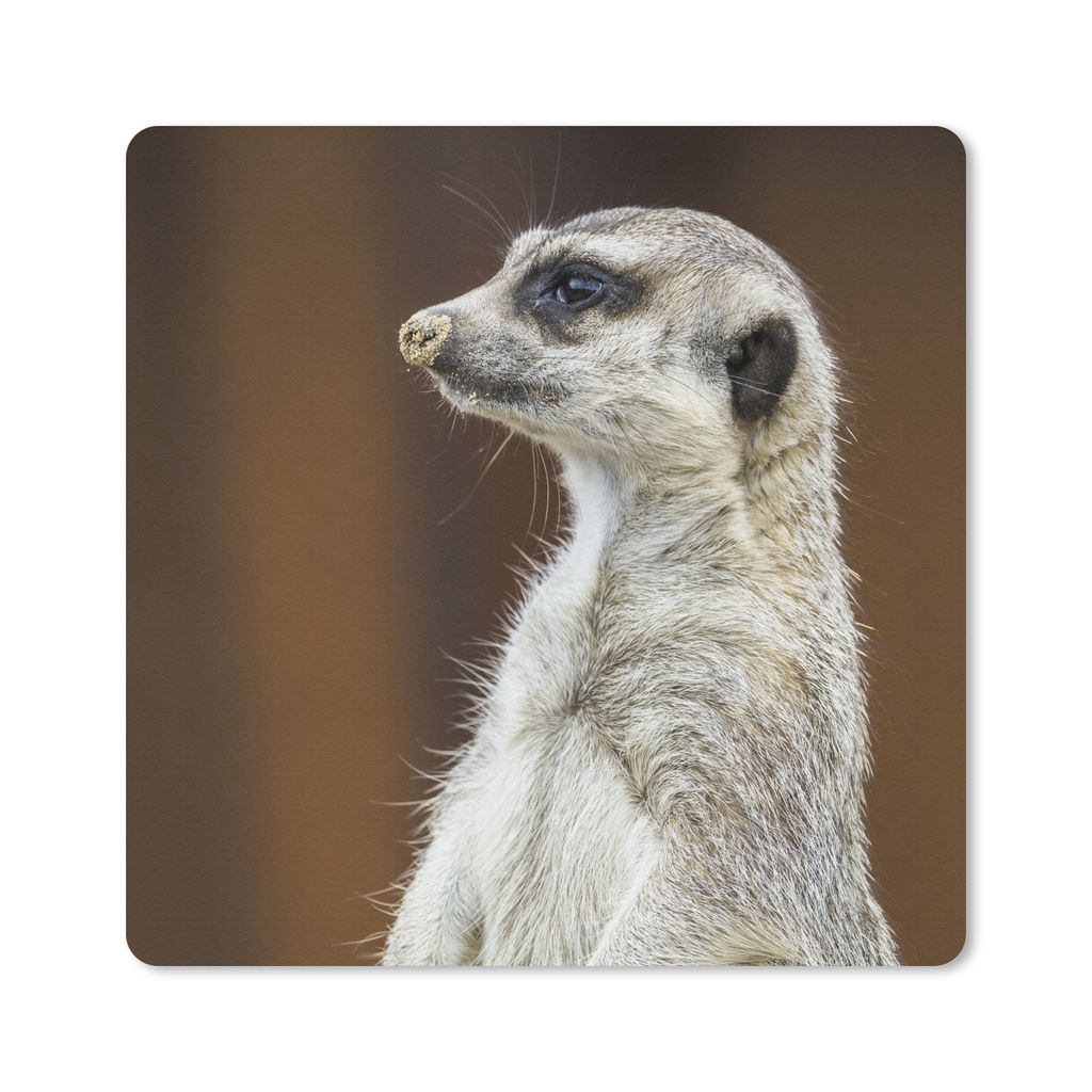 MuchoWow Mauspad Mousepad Erdmännchen - Tier - Spiel 30x30 cm - Mousepads - Maus Mat - Pad - Mausunterlage - Gaming