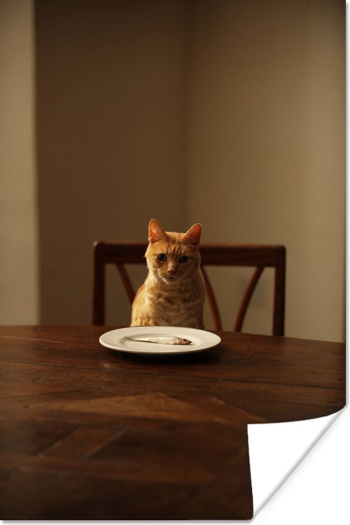 MuchoWow Poster Katze - Esstisch - Teller 120x180 cm - Kunstposter