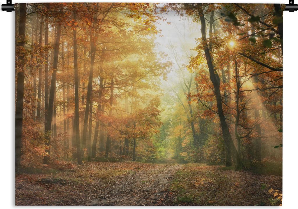 MuchoWow Wandteppich Wandbehang Wald - Herbst - Sonne - Landschaft - Natur - Bäume - Laub 60x45 cm Tapisserie Dekoration Wandtuch - Das Schlafzi...