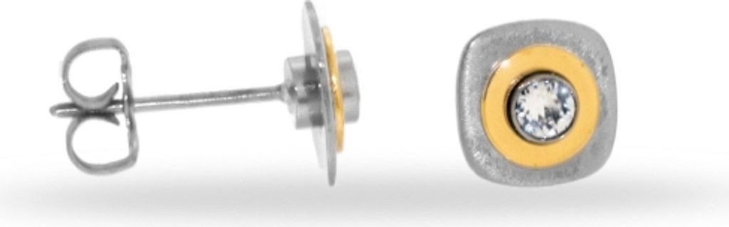 CEM Titan Ohrschmuck CT6-166
