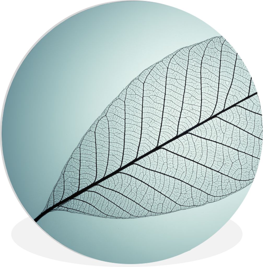 MuchoWow Rundes Wandbild - Runde Bilder Bild eines botanischen Blattskeletts im Hintergrund mit der Farbe Cyan Ø 60 cm Kreis Wanddekoration Kuns...