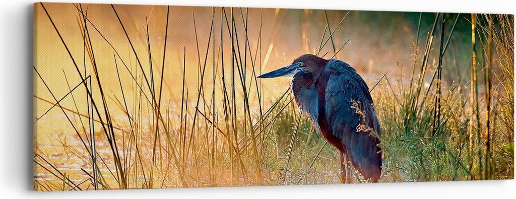 Bild auf Leinwand - Leinwandbild - Vogel Natur Wasser - 90x30cm - Wand Bild - Wanddeko - Wandbilder - Leinwanddruck - Bilder - Kunstdruck - Wanddek...